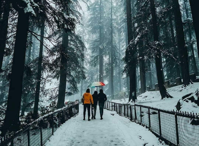 Snowfall in Manali during winter
