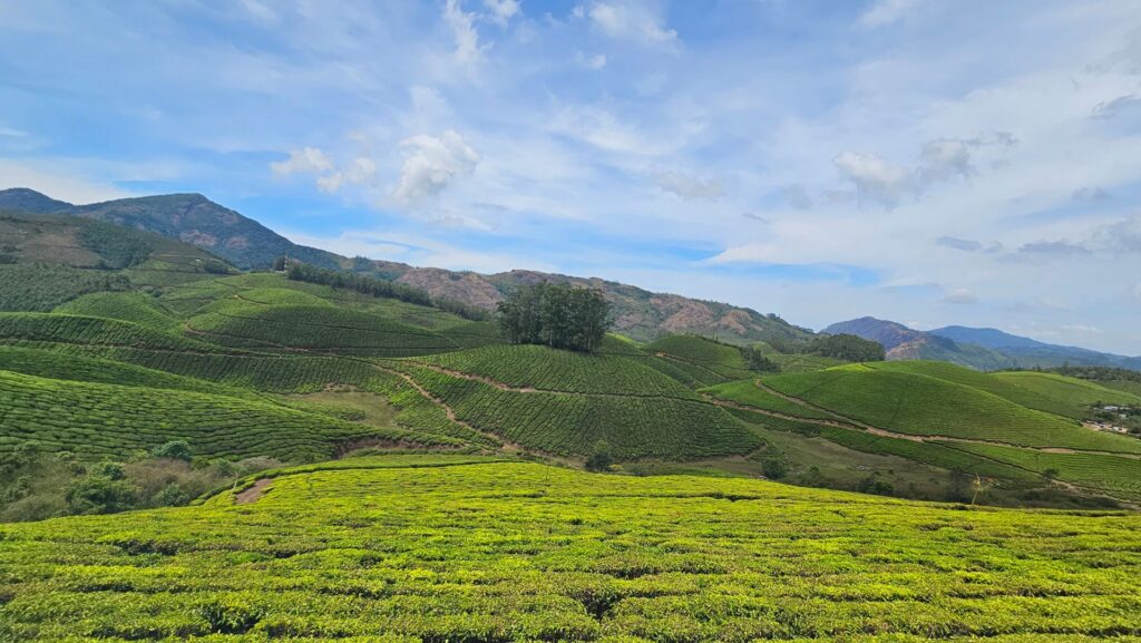 5 Destinations In South India When You Want Cool Weather & Green Views 2 Destinations In South India