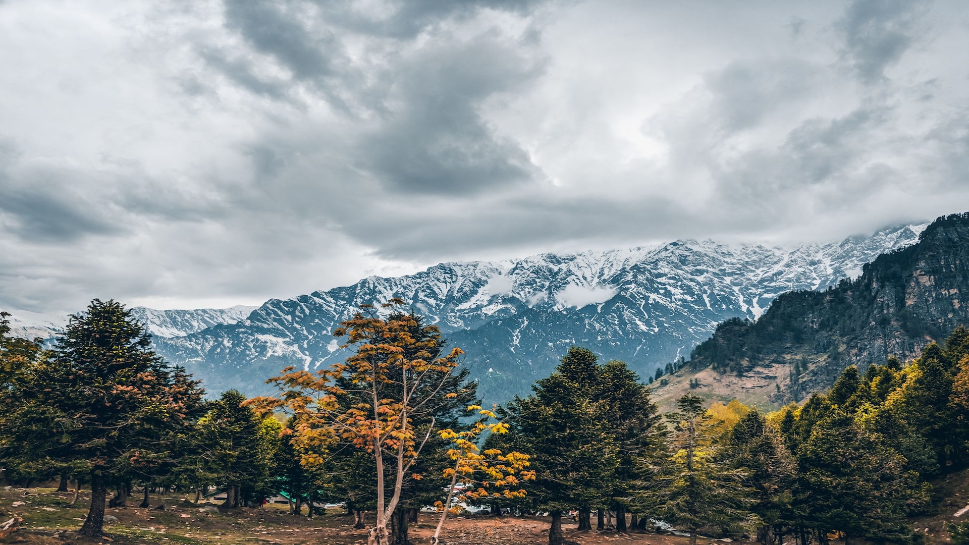 5 Best Snowfall Destinations In Himachal