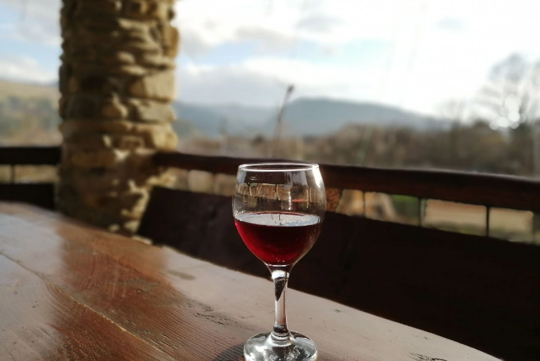 7 Amazing Vineyards In India For The Wine Connoisseurs 1 Vineyards In India