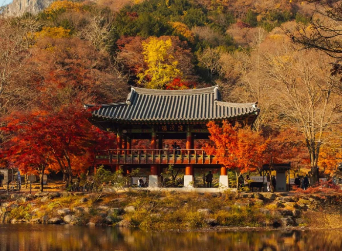 Places to see autumn leaves in October
