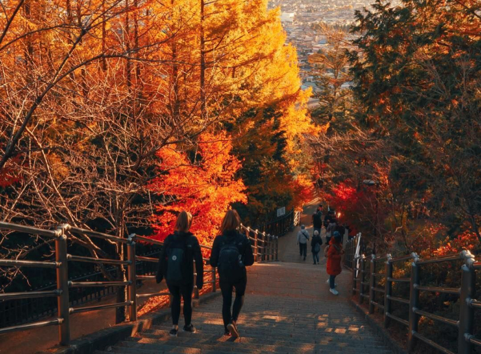 Places to see autumn leaves in October
