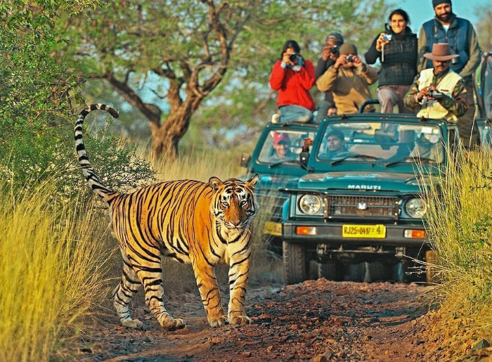 Why Is Domestic Leisure Travel Becoming More Important To India's Hotel Industry? 3 Domestic leisure travellers staying at a hotel in India