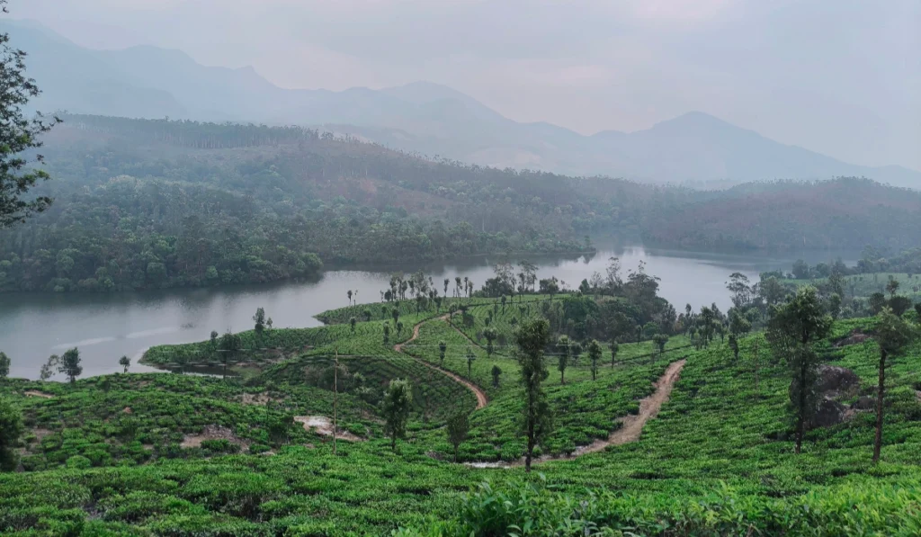 munnar-kerala-october-weather.jpg