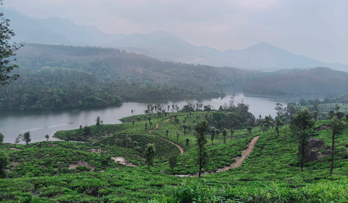 munnar-kerala-october-weather.jpg