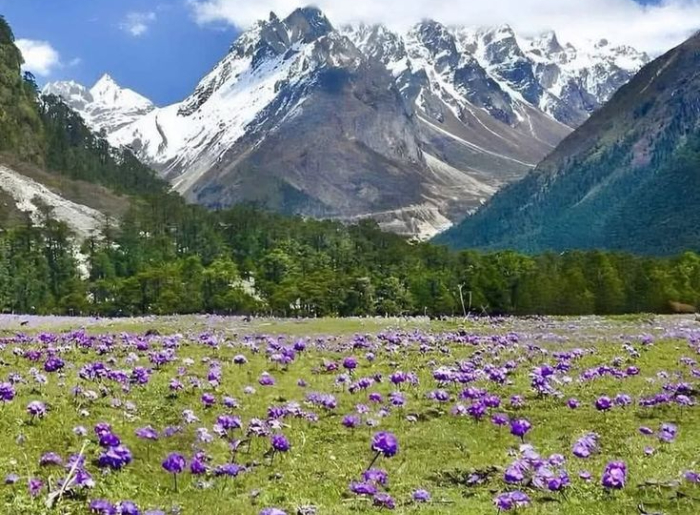 How To Plan A Lachung Trip: Permit, Stay & Places To Visit 3 Lachung Travel Guide