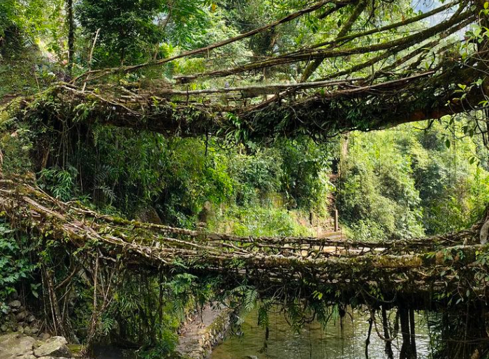 Meghalaya trip cost in October 2026 for couples and families