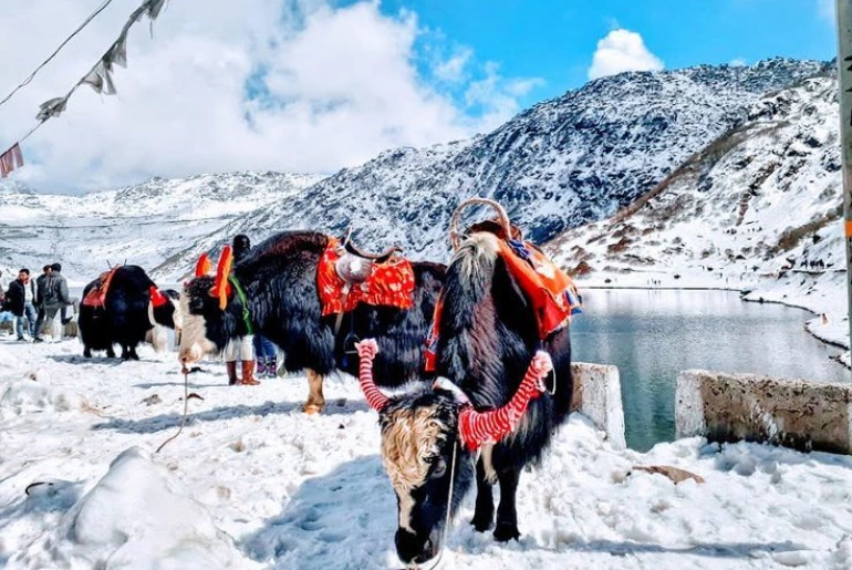 Tsomgo Lake in Sikkim