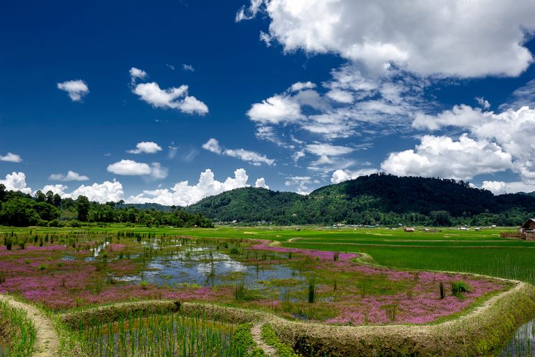 Are Tickets Still Available For Ziro Music Festival 2026? Here’s What You Can Still Buy 1 Ziro Festival 2026 tickets and festival venue
