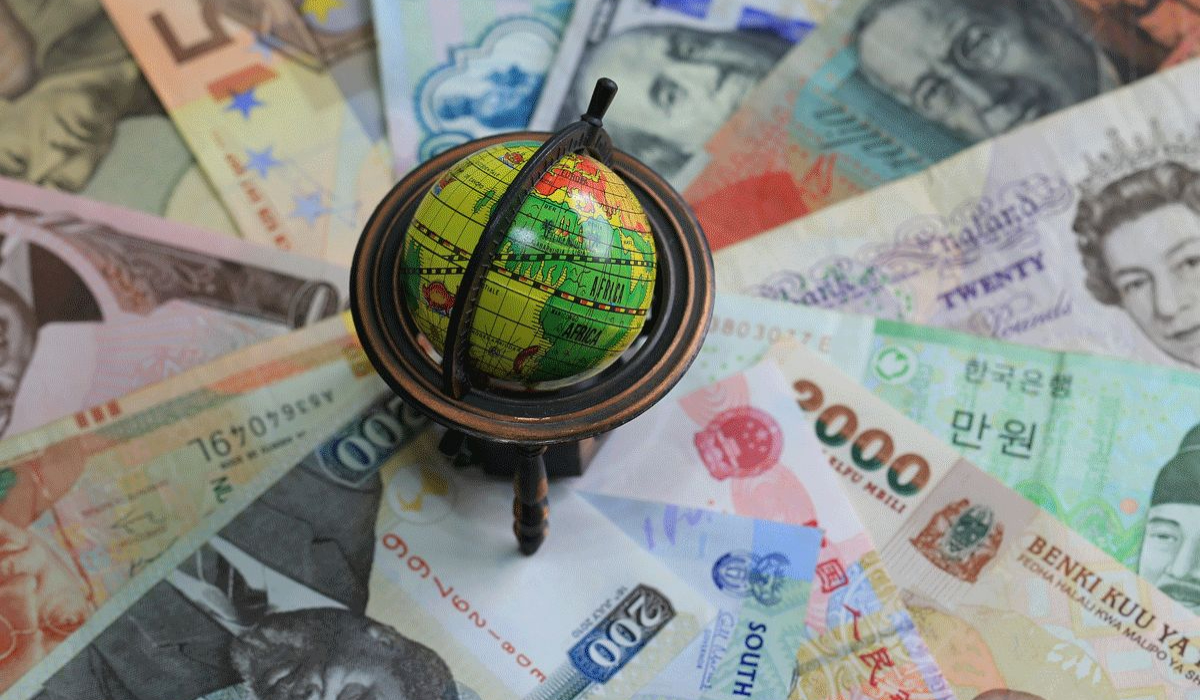 Indian traveler carrying foreign currency and cards for an international trip
