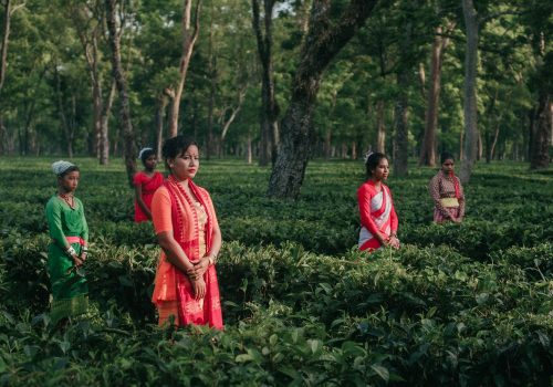 10 Things To Do In Assam