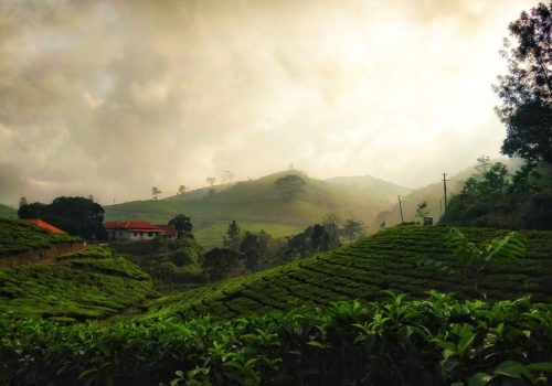 3 day romantic getaway kerala
