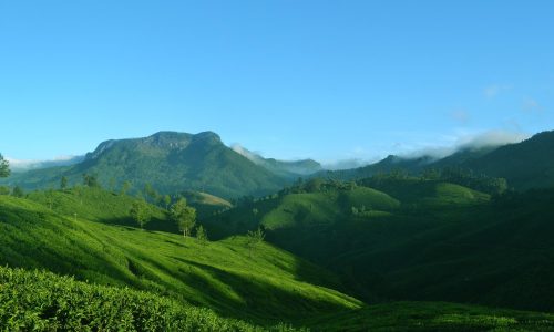 Kerala Itinerary 7 Days