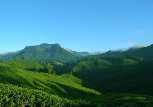 Kerala Itinerary 7 Days