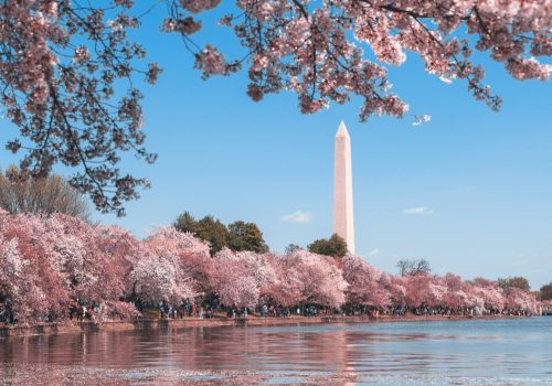 Best Cherry Blossom Festivals Outside Japan