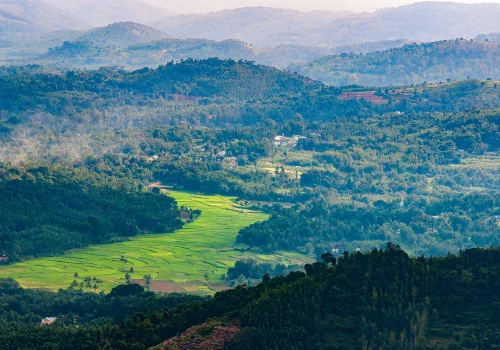 Best Places For Camping In Tamil Nadu