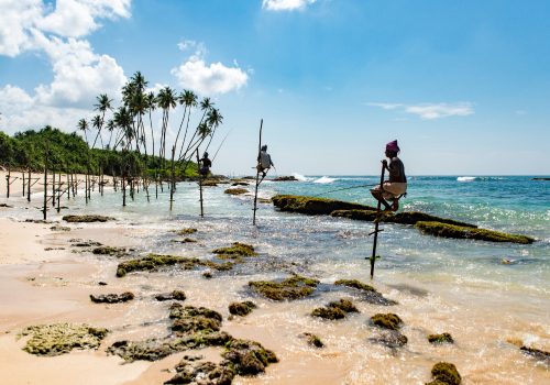 Best Time To Visit Sri Lanka_ Perfect Weather, Short Flights, and Easy Getaways