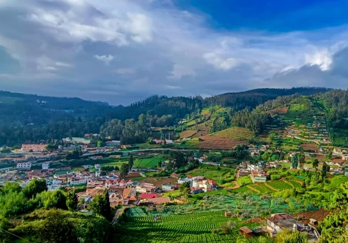 Best Tree Houses Near Ooty