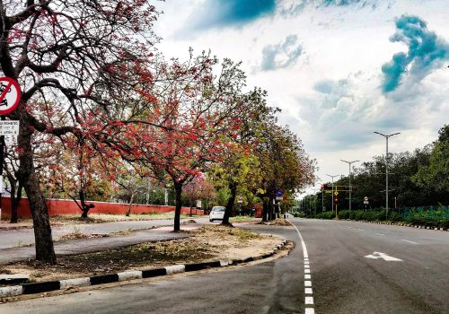 Chandigarh-road