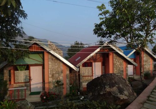 Chota Mangwa
