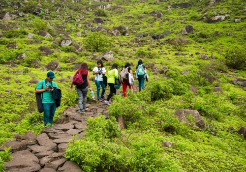 Easy Treks Near Mumbai For Kids