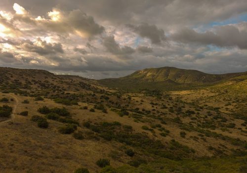 Experience-Kodachadri-Trek-In-Karnataka-c-1