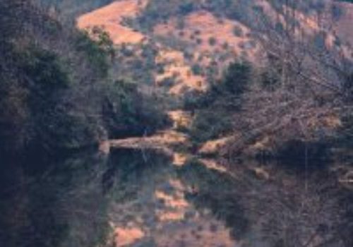 Experiencing Umngot River India’s Crystal Clear River