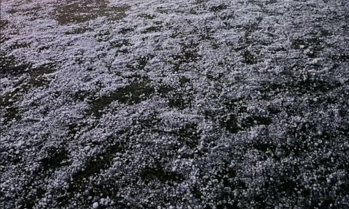 IIT Kharagpur Experiences Sudden Hailstorm