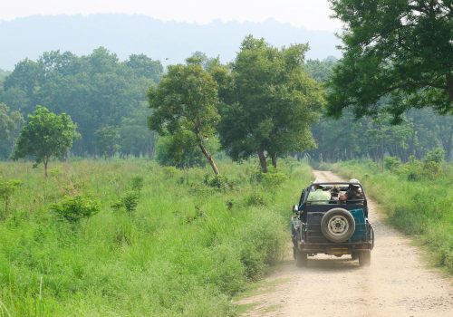 How Many Safaris To Do In Tadoba