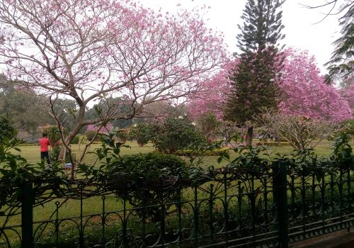 How To Reach Cubbon Park