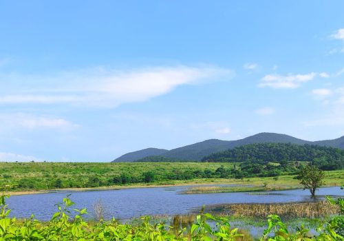 Jharkhand