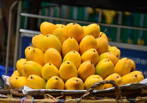 Delhi Mango Festival