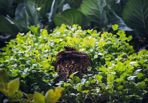 Manipur: Best Things To Do In This Less-Explored Corner Of Northeast India