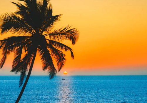 Old Goa 1 Day Walking Tour