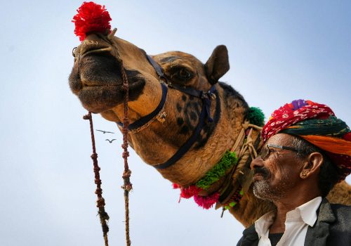The Pushkar Fair 2025