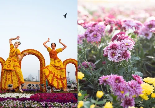 Tickets For The Riverfront Flower Show Ahmedabad 2026 feature image