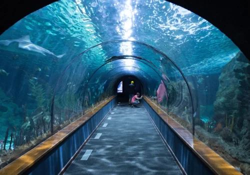 Underwater Aquarium In Bangalore