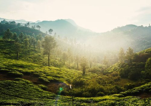 Wayanad 3 Days 2 Nights Itinerary