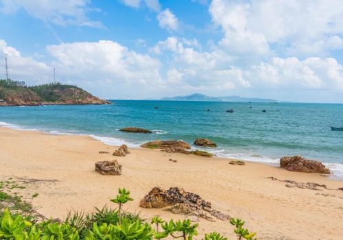 Goa New Rules