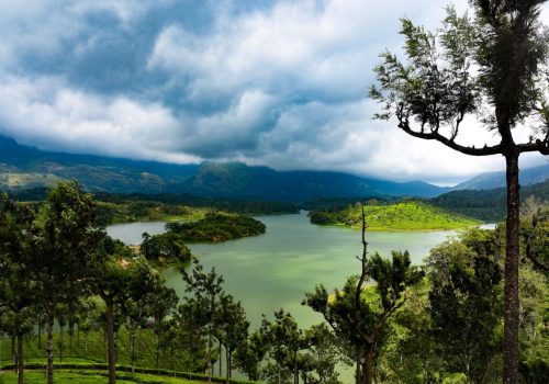 best homestays in munnar (1)