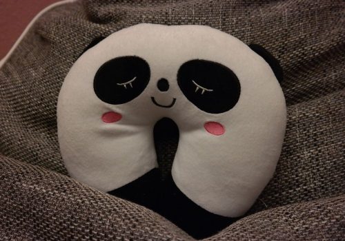 best travel pillows
