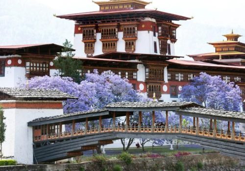 bhutan-independent-travel-without-tour-package (4)