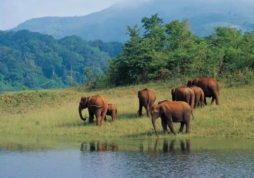 complete travel guide thekkady