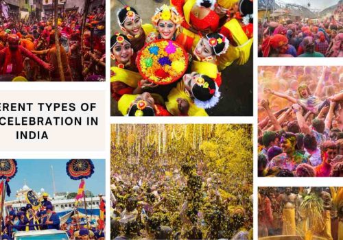 different types of holi