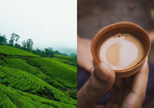 history of tea india