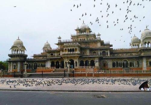 jaipur5
