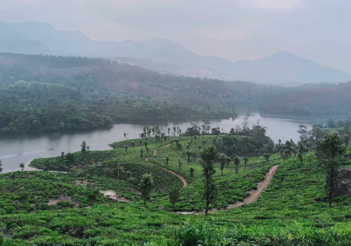 munnar-kerala-october-weather.jpg