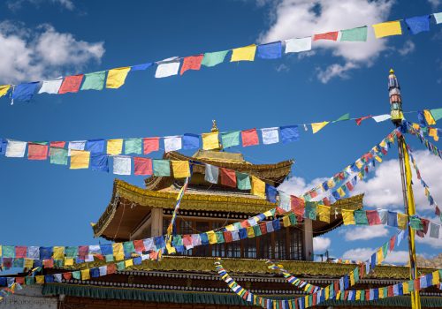 ladakh2