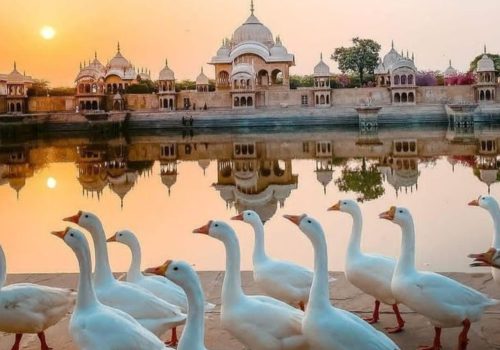 - Mathura Travel Guide to temples, ghats and places to visit in Mathura