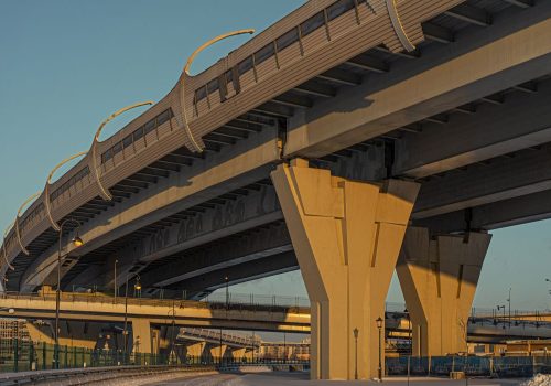 mrinal tai gore flyover